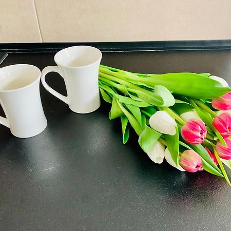 Apartament Fraszka U Kochanowskiego Ac Progres Torun Ngoại thất bức ảnh