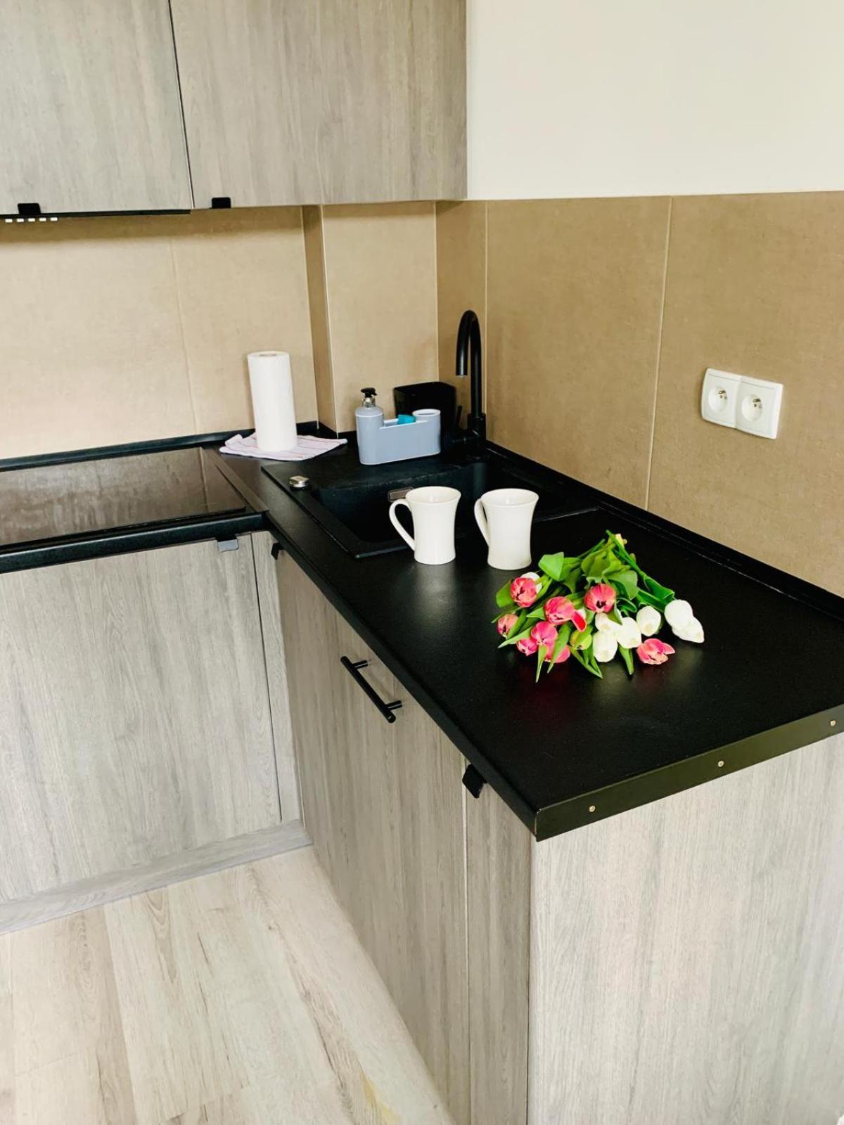Apartament Fraszka U Kochanowskiego Ac Progres Torun Ngoại thất bức ảnh